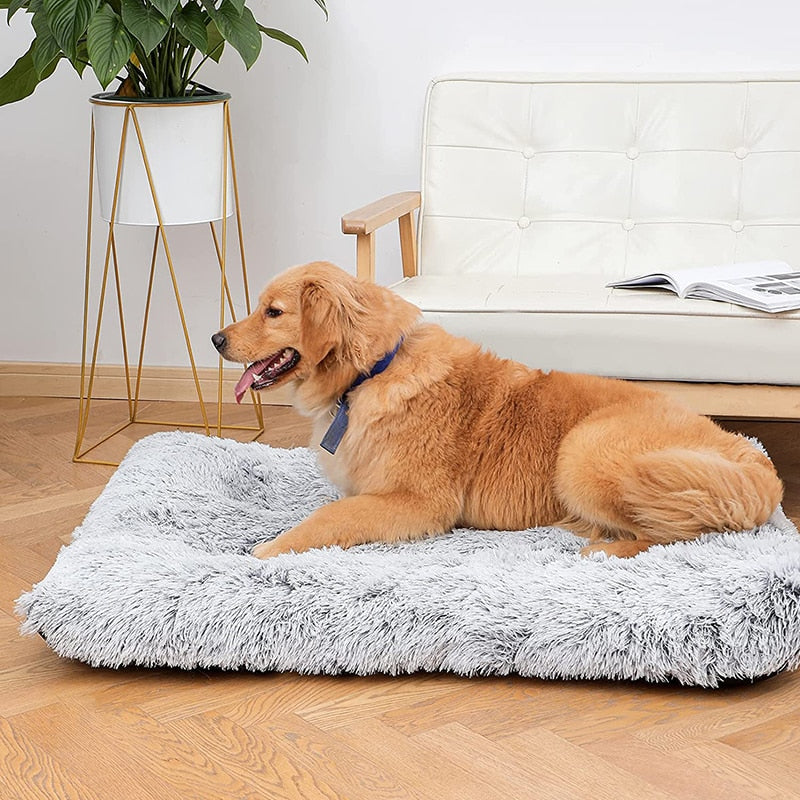 Plushy Dog Bed