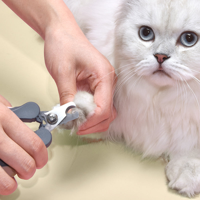 Pet Nail Clippers