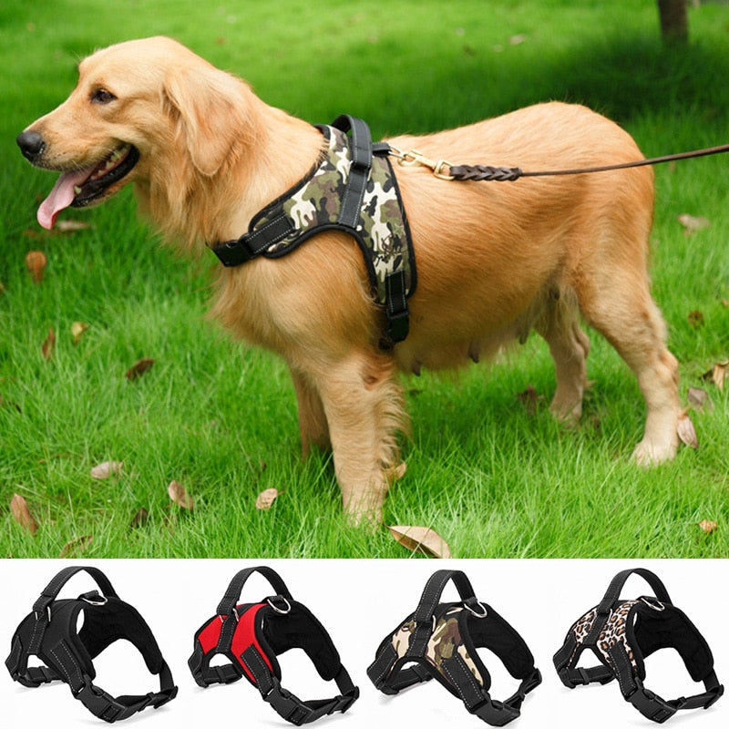 Adjustable Collar Dog Harness